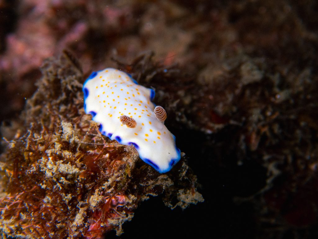 【生活】才剛休息又出發-2025年度回顧 3 0011 250615 83.6K 2048px