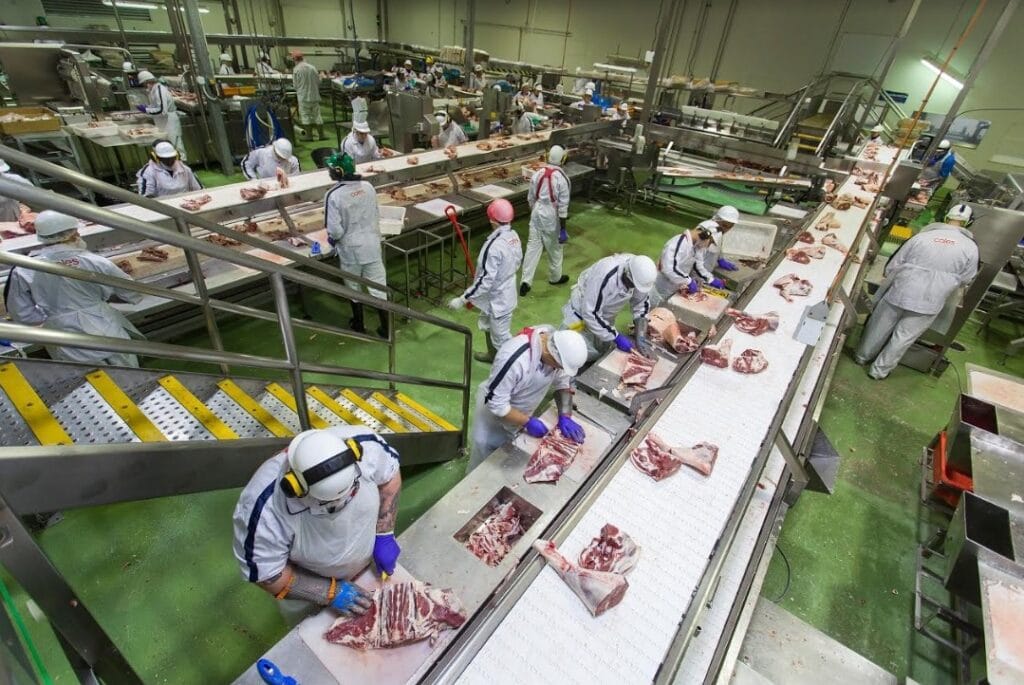 【澳洲。打工度假】肉廠工作介紹 - JBS Rockhampton Boning Room